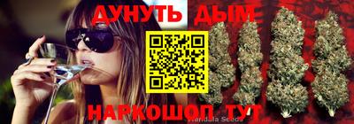 мдпв Ливны