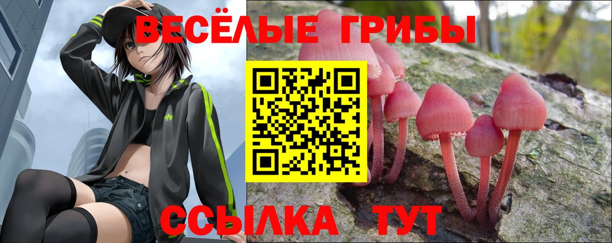 Галлюциногенные грибы ЛСД  Псилоцибиновые грибы GOLDEN TEACHER  Вход с VPN  Городец 
